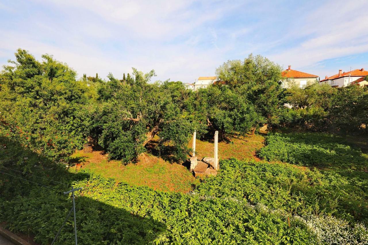 Senkini Dvori Daire Sutomiscica Dış mekan fotoğraf